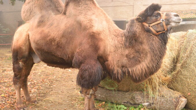 Plzeň Farmářova stezka