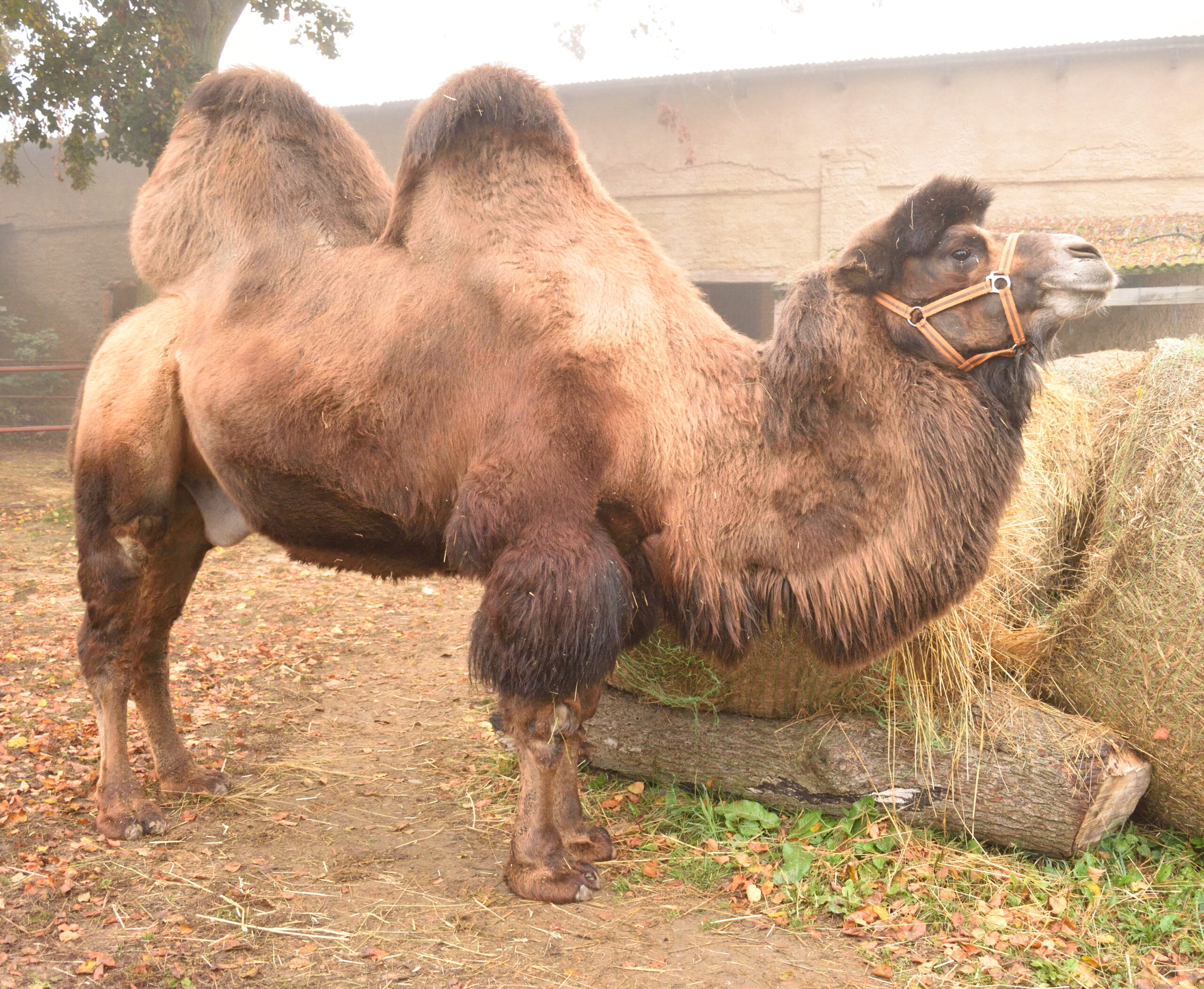 Plzeň Farmářova stezka