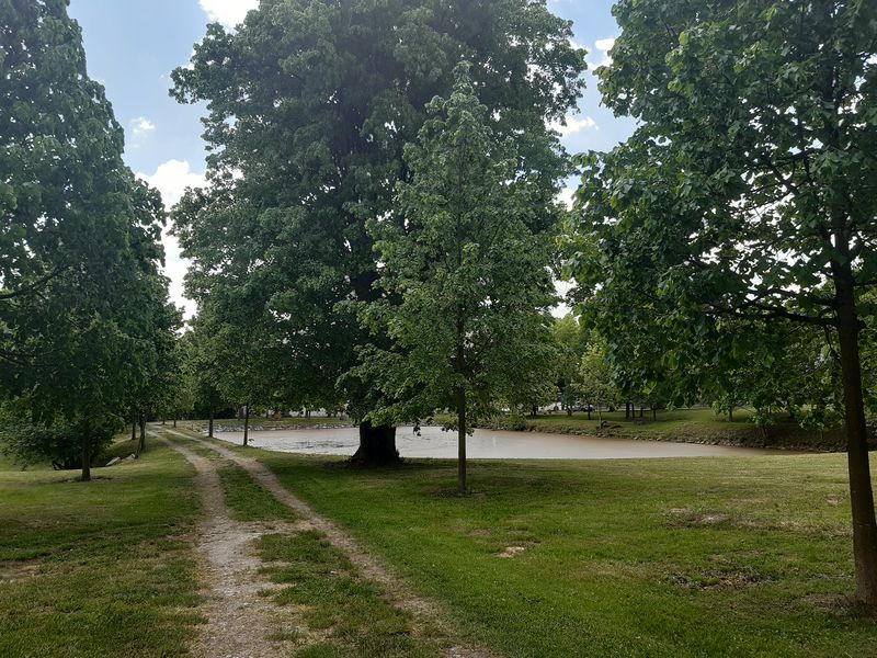 Park u zámku v Budišově, okres Třebíč, Kraj Vysočina. Foto: Anna Petruželková