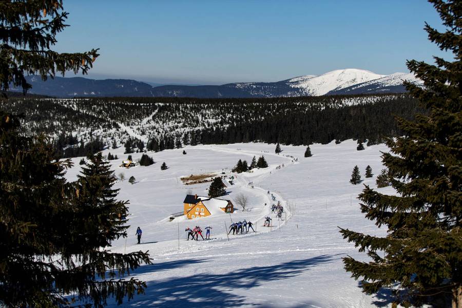 Krkonošská 70