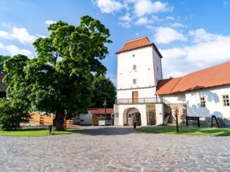 Zdroj: správa Slezskoostravského hradu (archív Černá louka)