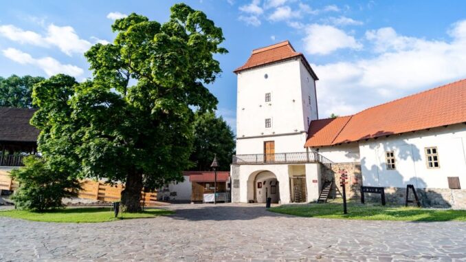 Zdroj: správa Slezskoostravského hradu (archív Černá louka)