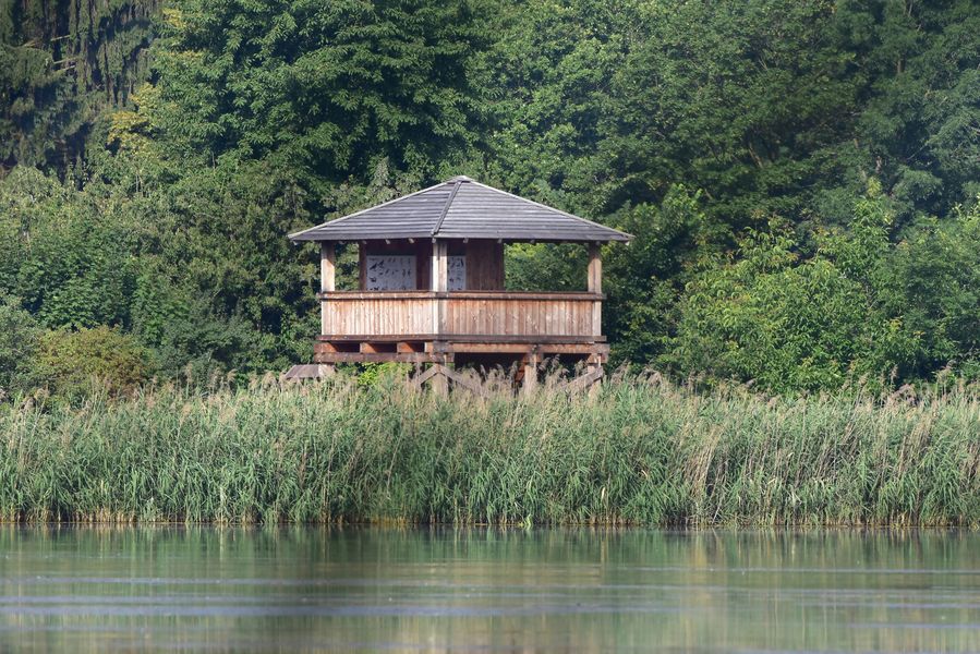 Chropyňský rybník s pozorovatelnou, Zlínský kraj. Zdroj: Shutterstock.com/Karel Gallas