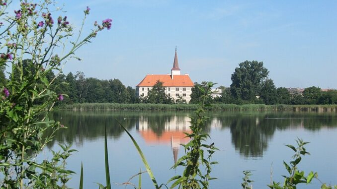 Chropyňský rybník, okres Kroměříž. Autor: Palickap, licence CC BY-SA 3.0 Deed. Zdroj: Wikimedia Commons