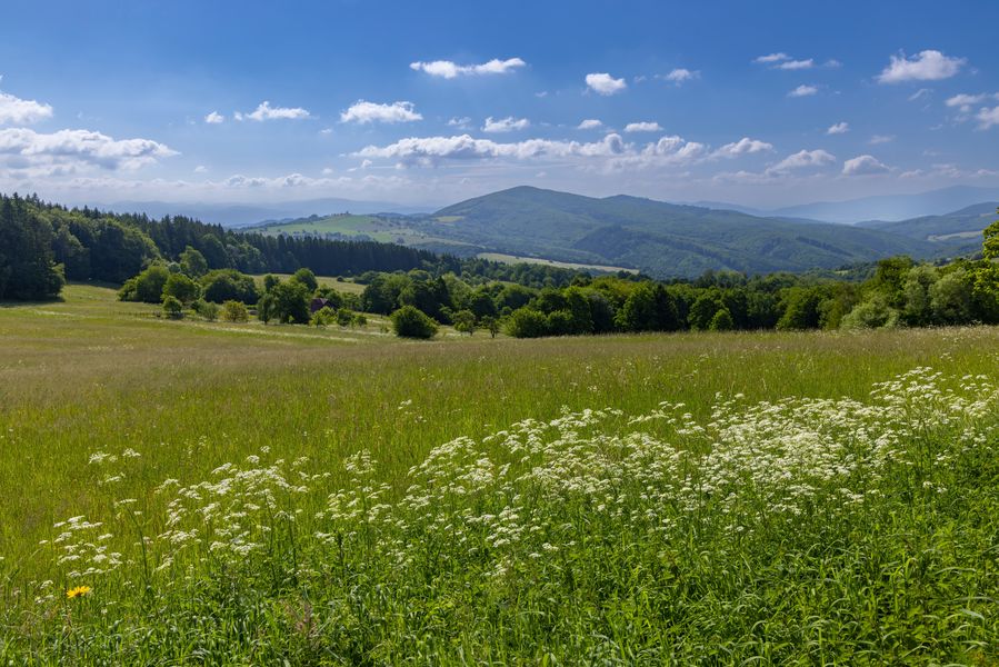 Jarní krajina v Bílých Karpatech u Starého Hrozenkova, Zlínský kraj. Zdroj: Shutterstock.com/Richard Semik