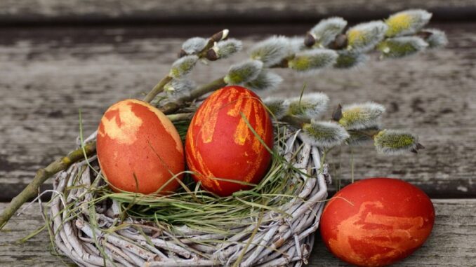 Ilustrační foto. Zdroj: Pixabay.com