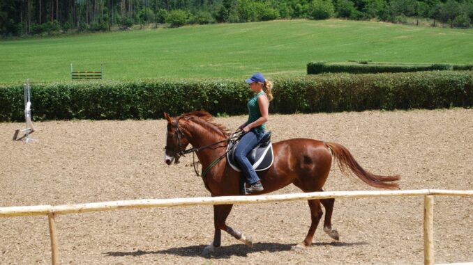 Bělecký mlýn Prostějov 