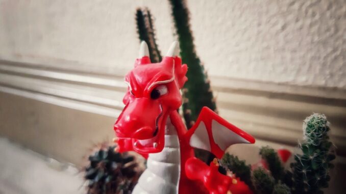 Ilustrační foto. Zdroj: Pixabay.com