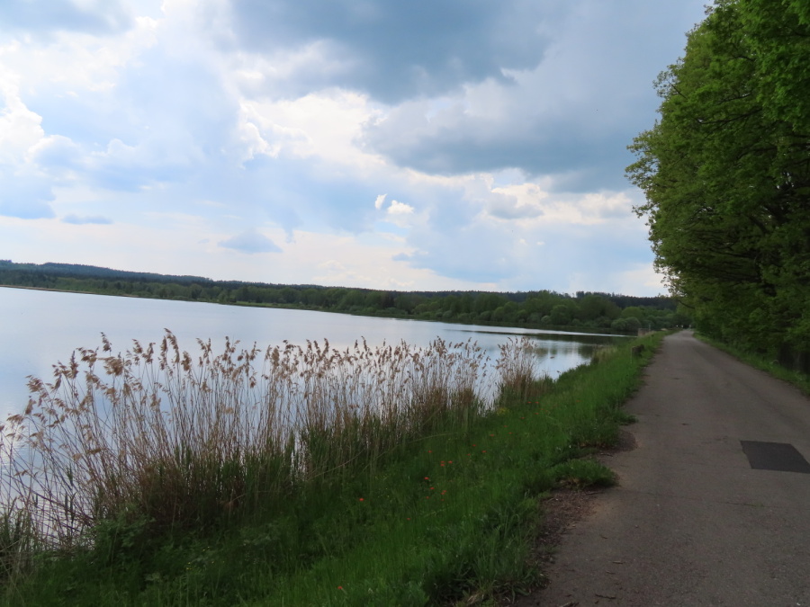 U hráze Dolního Padrťského rybníka. Zdroj foto: Pavla Košík Jelínková