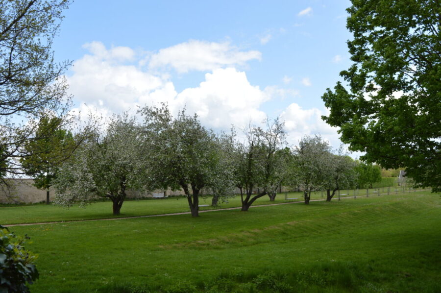Park, zámek Ctěnice. Ilustrační foto. Zdroj: Muzeum města Prahy.