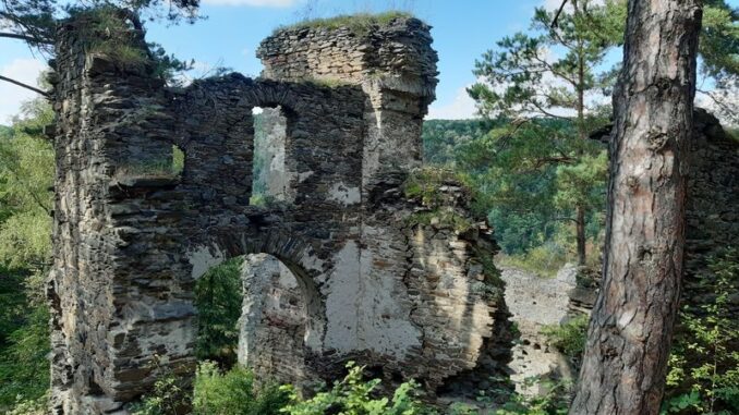 Zřícenina hradu Frejštejn u obce Podhradí nad Dyjí v okrese Znojmo. Foto: Anna Petruželková