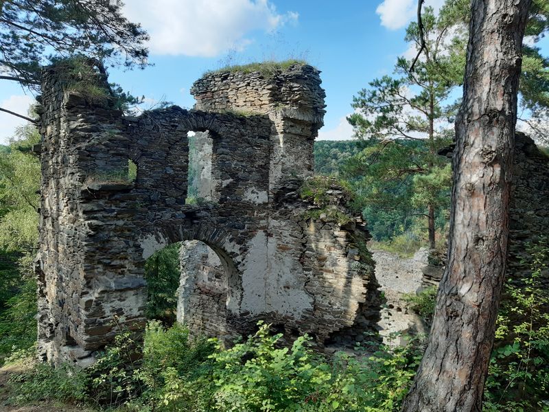 Zřícenina hradu Frejštejn u obce Podhradí nad Dyjí v okrese Znojmo. Foto: Anna Petruželková