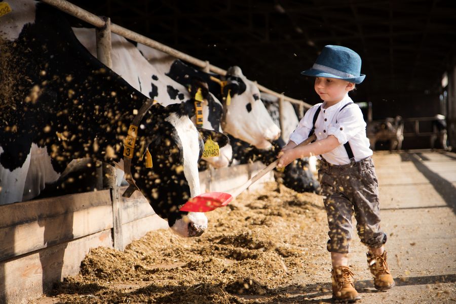 Zdroj: Doubravský Dvůr