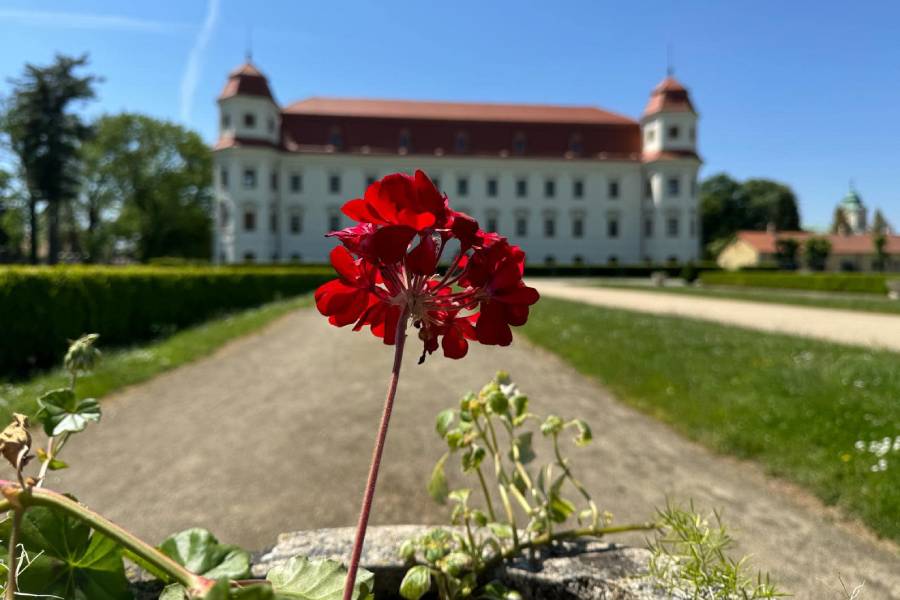 Festival Holešovská regata. Zdroj: Agentura Velryba s.r.o. 