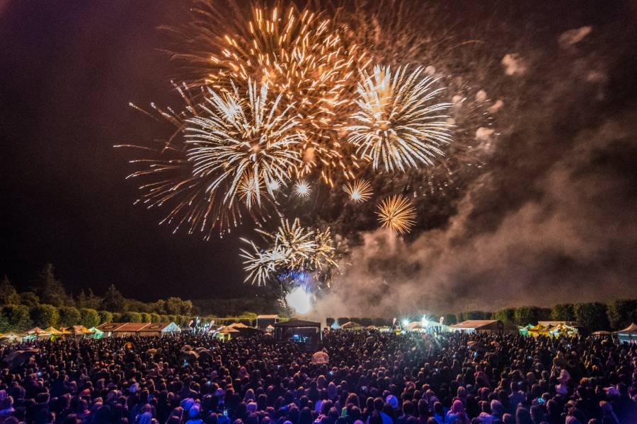 Festival Holešovská regata. Zdroj: Agentura Velryba s.r.o. 