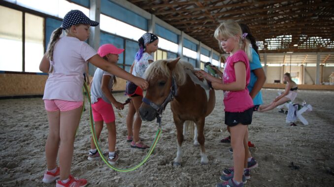 Dětský ranč Hlučín 