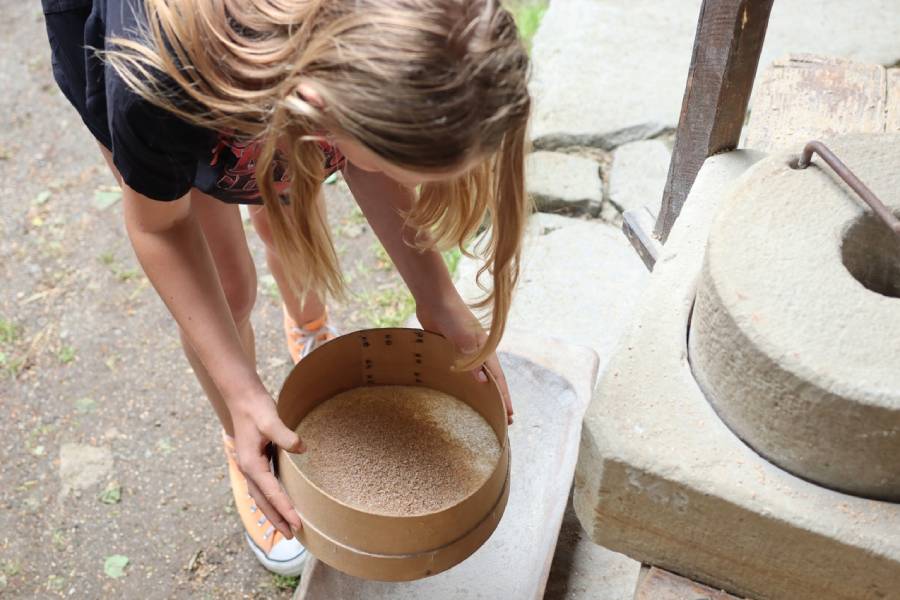 Jak se dříve hospodařilo aneb Cesta k dožínkovému věnci. Zdroj: Národní muzeum v přírodě