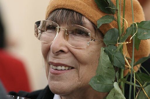 Ilustrační foto. Zdroj: commons.m.wikimedia.org