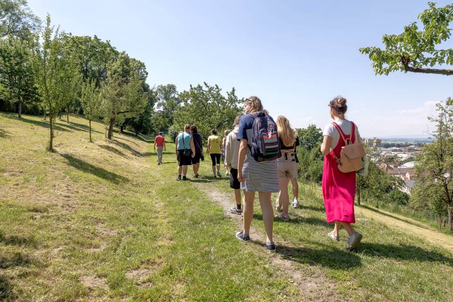 Hrad Šternberk. Zdroj: Národní památkový ústav