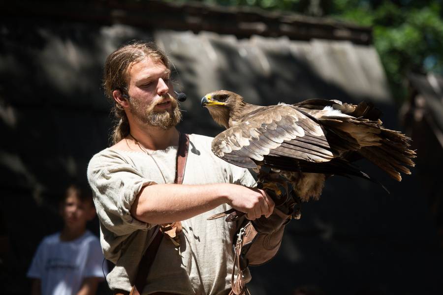 Historický festival Veligrad. Zdroj: Velkomoravané, z.s.