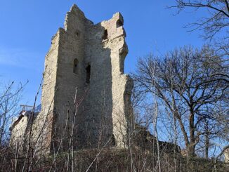 Hrad Dražice (Benátky nad Jizerou). Autor: MartinVeselka, licence CC BY-SA 4.0 DEED. Zdroj: Wikimedia Commons