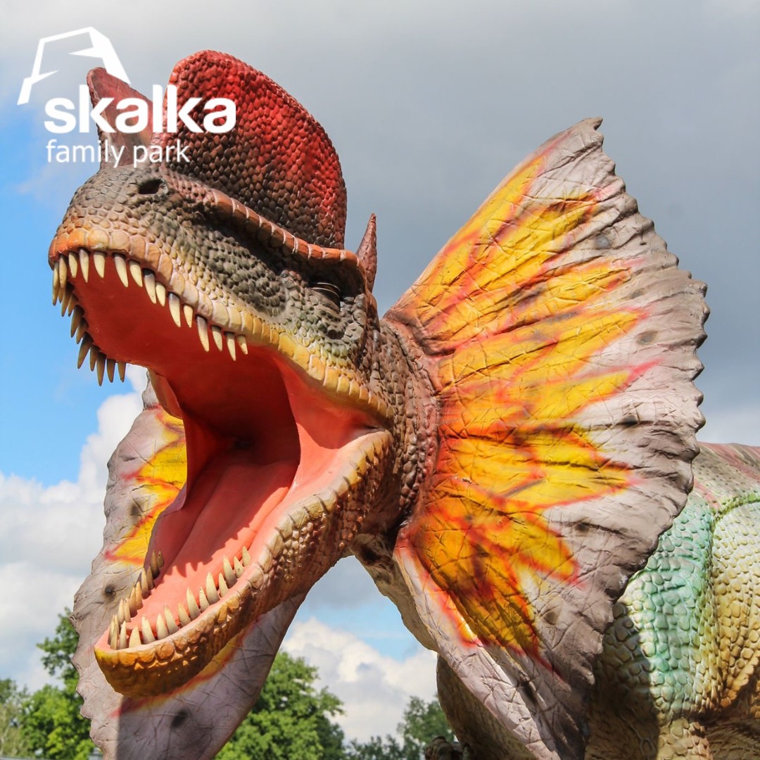 Skalka Dino