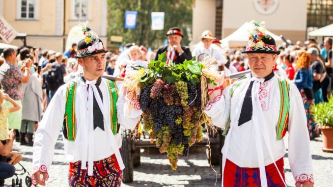 Pálavské vinobraní. Zdroj: Mikulovská rozvojová, s. r. o.