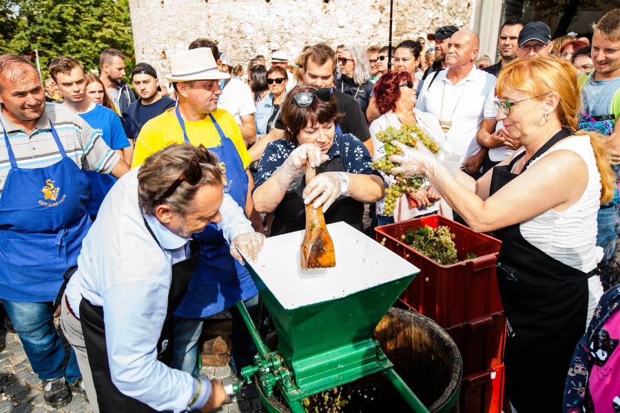 Pálavské vinobraní. Zdroj: Mikulovská rozvojová, s. r. o.