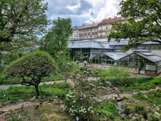 Botanická zahrada Praha