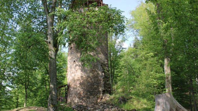 Zřícenina hradu Chřenovice. Foto: Miroslav Šuhaj