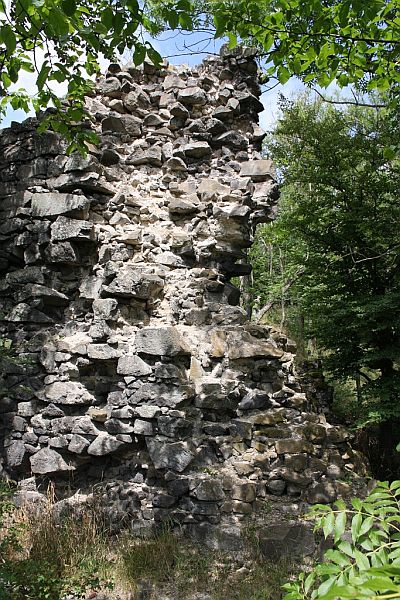 Zřícenina hradu Himlštejn