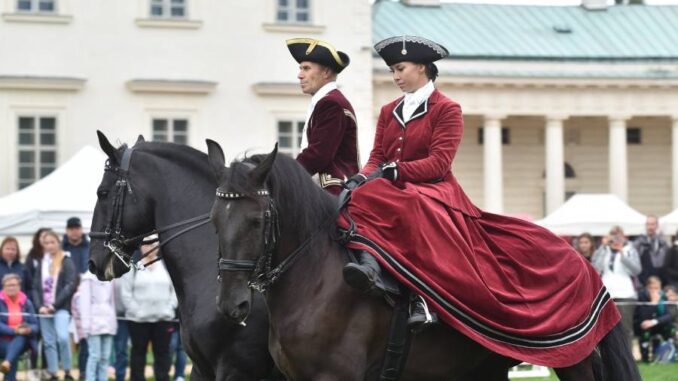 Koně na Kačině. Zdroj: Národní zemědělské muzeum