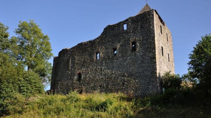 Zřícenina hradu Kamenice na Zámeckém vrchu. Foto: Petr Fabian. Zdroj: Hrady-zříceniny.cz