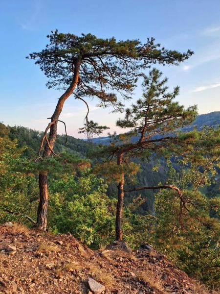 vyhlídka hraběcí stolek