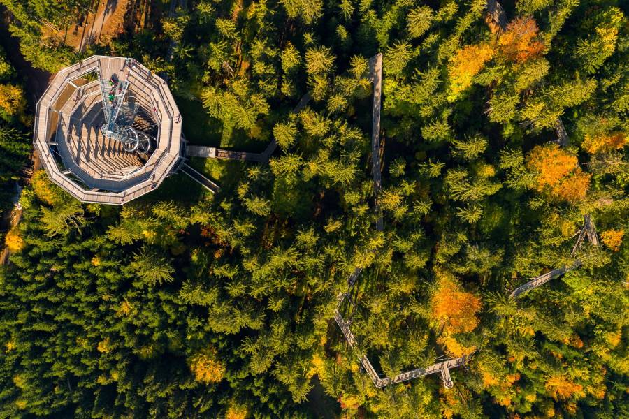 Měsíc rodiny na Stezce korunami stromů. Zdroj: Stezka korunami stromů Krkonoše s.r.o.