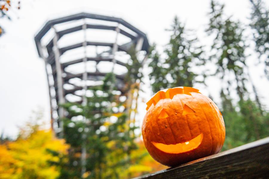 Měsíc rodiny na Stezce korunami stromů. Zdroj: Stezka korunami stromů Krkonoše s.r.o.