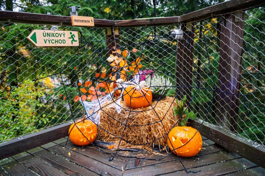 Měsíc rodiny na Stezce korunami stromů. Zdroj: Stezka korunami stromů Krkonoše s.r.o.