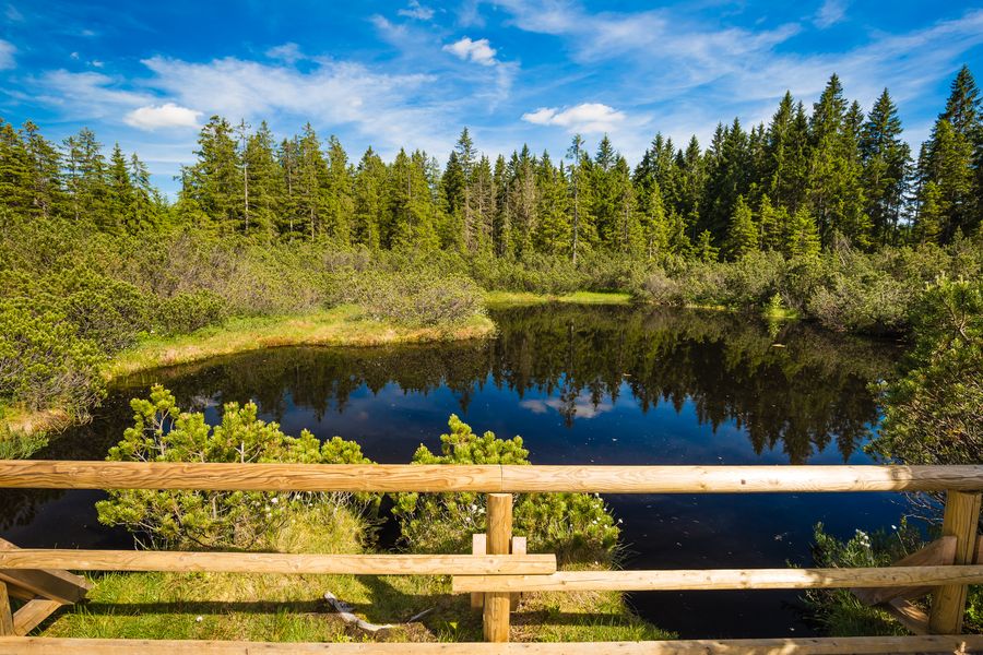 Tříjezerní slať, Šumava. Zdroj: Shutterstock.com/661333618/Josef Skacel