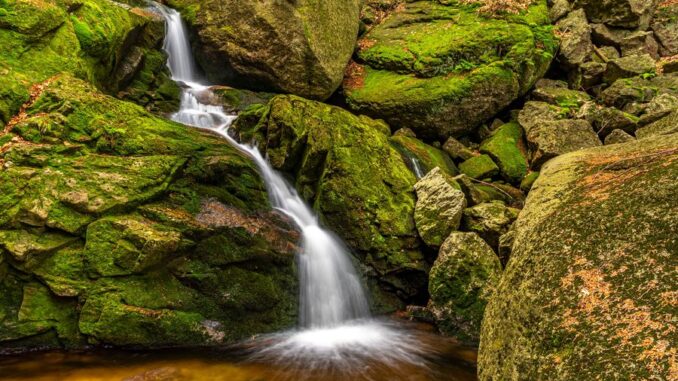 Velký (Černý) Štolpich v Jizerských horách. Zdroj: Shutterstock.com/2489961659/Lucie1985