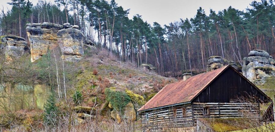 čapská palice 