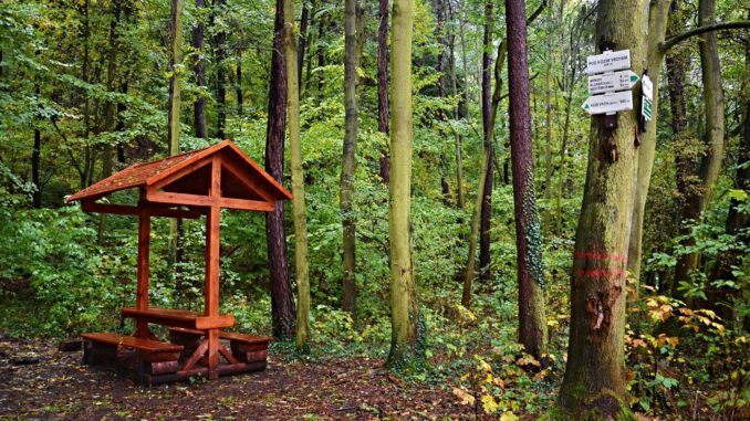 turistický přístřešek pod Kozím vrchem