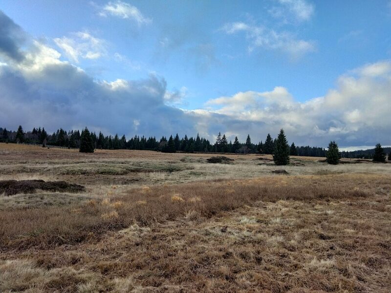 Božídarský Špičák