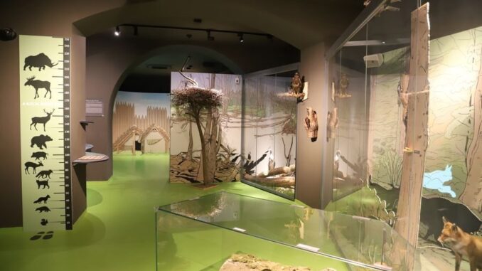 Moderní interaktivní expozice. Zdroj foto: Muzeum Těšínska