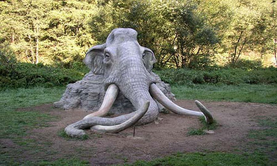 Hamerský vycházkový okruh, mamut.