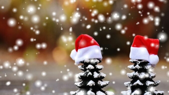 Zdroj foto: Pixabay.com