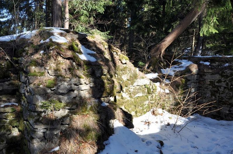 Zřícenina hradu Sokolčí. Foto: Petr Fabian. Zdroj: <a href="http://www.hrady-zriceniny.cz">Hrady-zříceniny.cz</a>