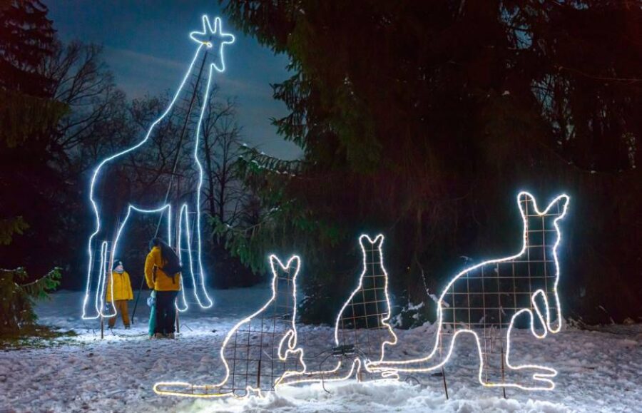 Světelná podívaná ve zlínské zoo. Zdroj: Zoo a zámek Zlín-Lešná