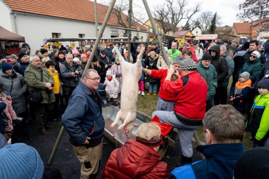 Máslovický masopust se zabijačkou. Foto: Pavel Novotný. Zdroj: Obec Máslovice
