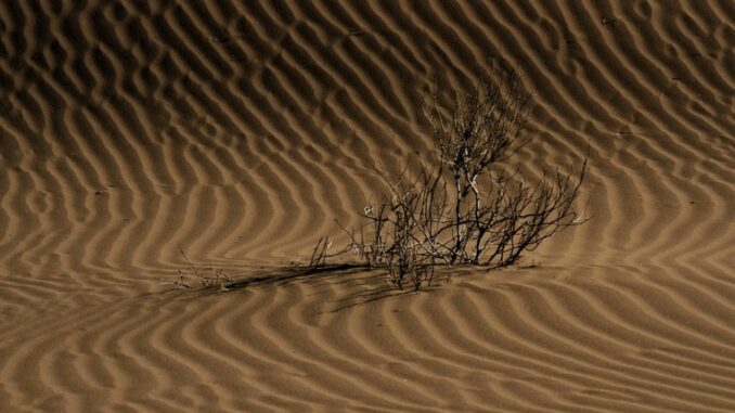 Zdroj foto: Pixabay.com