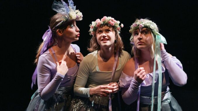 Zdroj foto: Divadlo F. Šrámka Písek